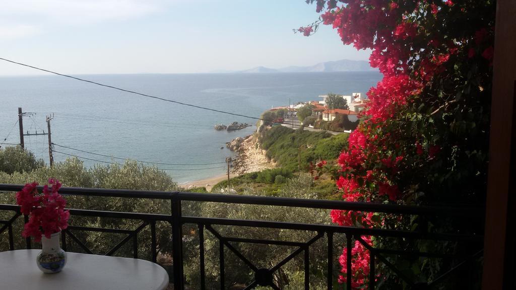 Thalina Hotel Marathókampos 部屋 写真